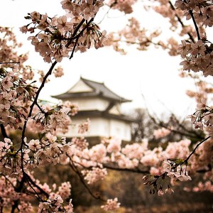 osaka-castle-park-japan